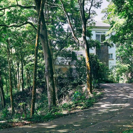 三义寻路 苗栗绿波浪公寓 外观 照片