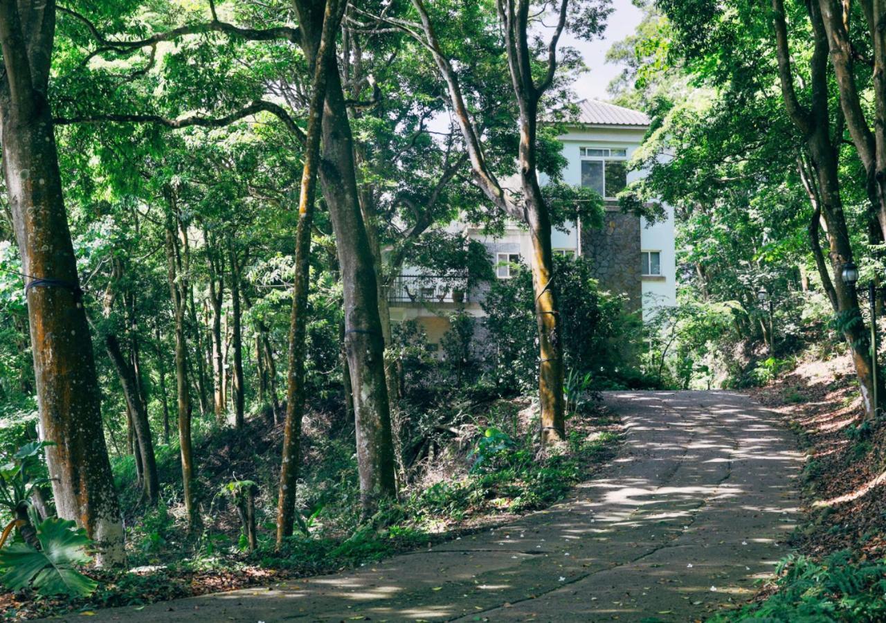 三义寻路 苗栗绿波浪公寓 外观 照片